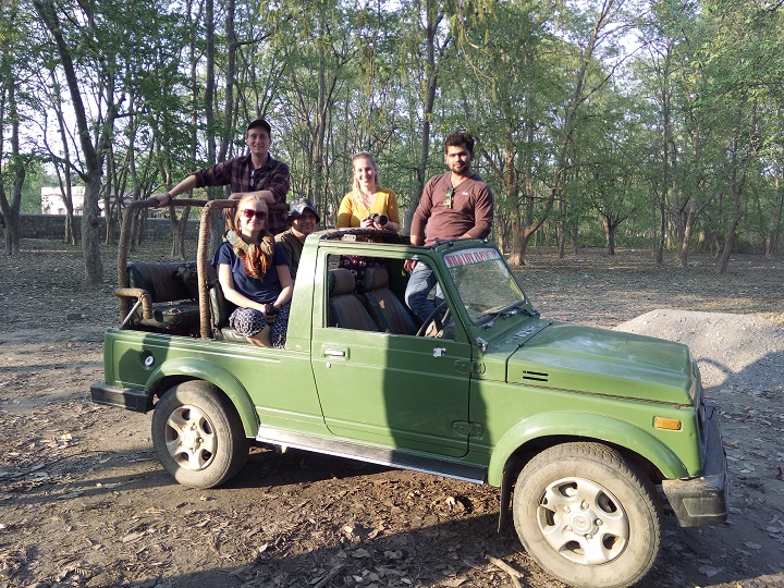 rajaji-national-park-safari