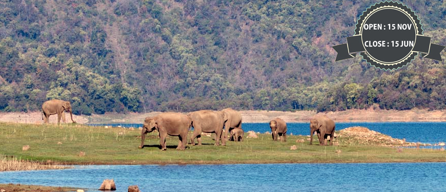 rajaji-national-park-safari-booking