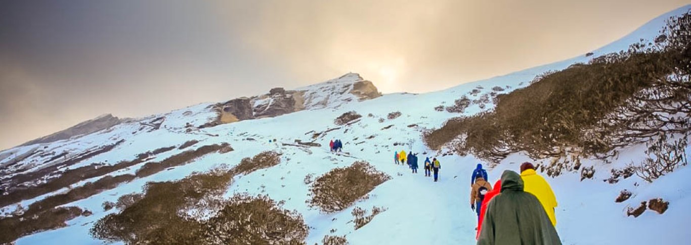 Chandrashila Trek Tour