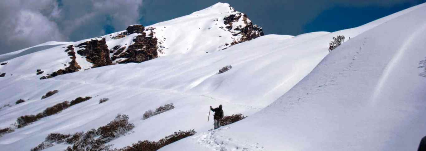 Chopta tour Packages