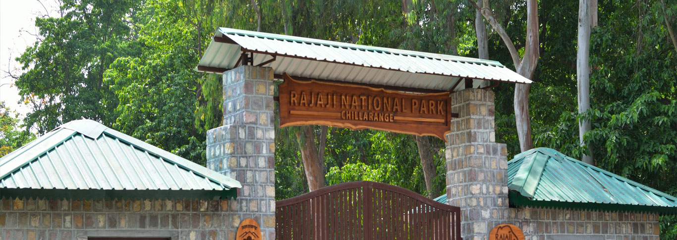 rajaji-national-park