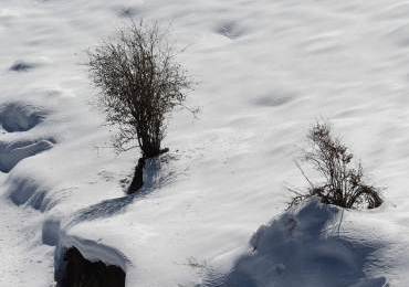 Auli Tour Package From Delhi