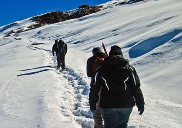 Chopta Chandrashila Tungnath Tour Package