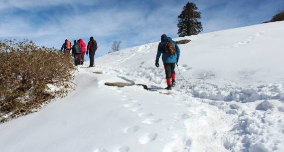Dayara Bugyal Trek Tour