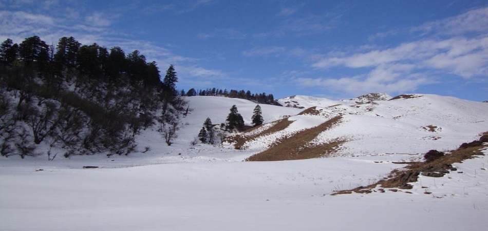 Book Dayara Bugyal Tour