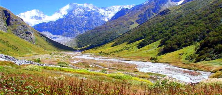 valley-of-flowers-trek