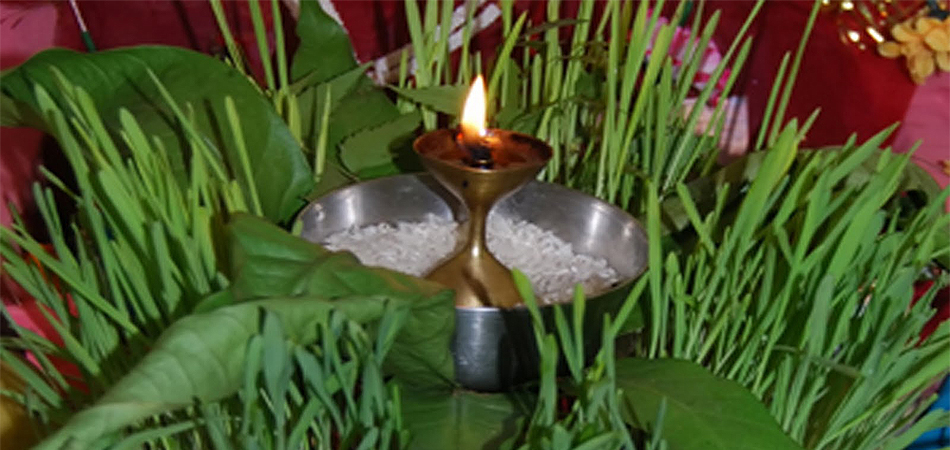 uttarakhand harela fair and festival