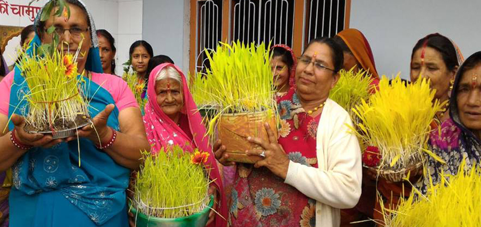 fair and festival harela of uttarakhand