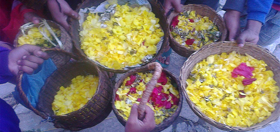 uttarakhand phool dei festival 2019